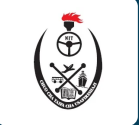mit collaborator